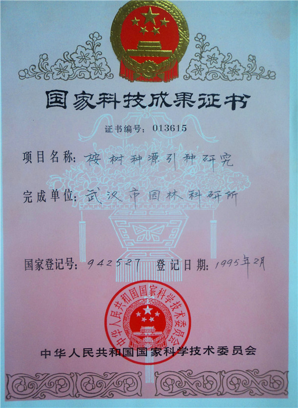 国家科技成果证书--桉树种源引种研究