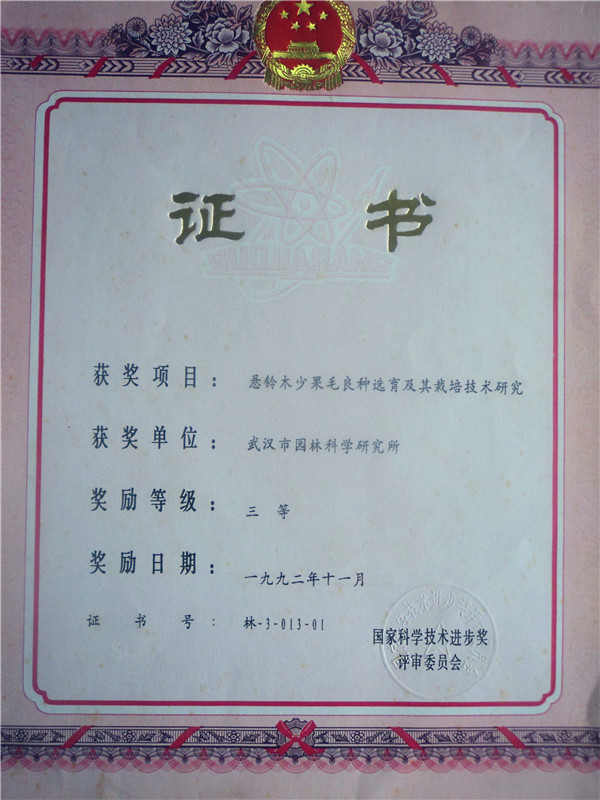 悬铃木少果毛良种选育及其栽培技术研究三等奖