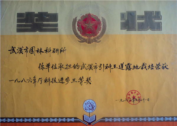 引种王莲露地栽培―省厅科技进步三等奖