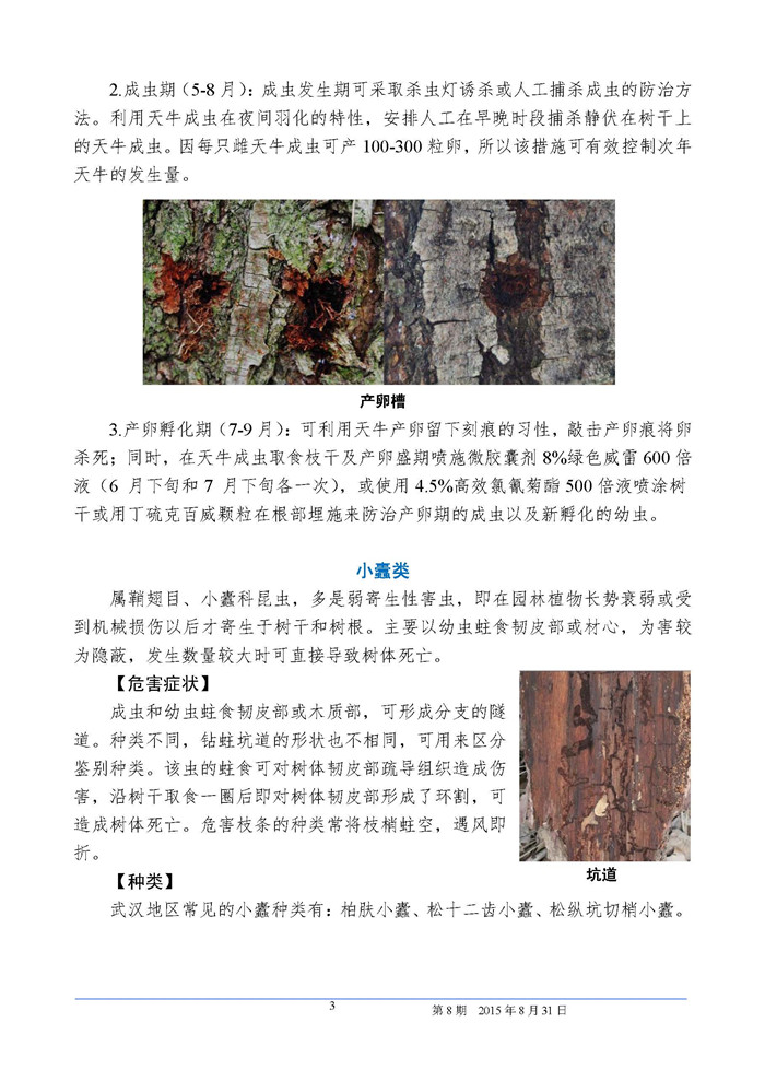 武汉园林植保信息2015年第8期