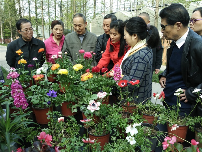 我所新优花卉超市开业，市民享优惠购买新优盆花