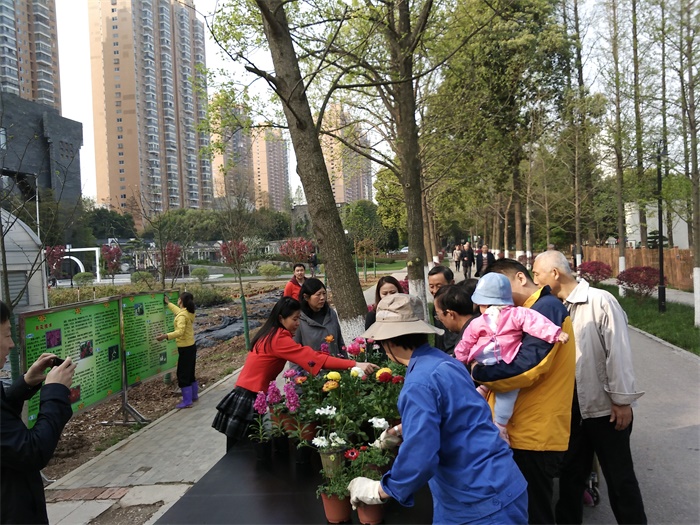 我所新优花卉超市开业，市民享优惠购买新优盆花