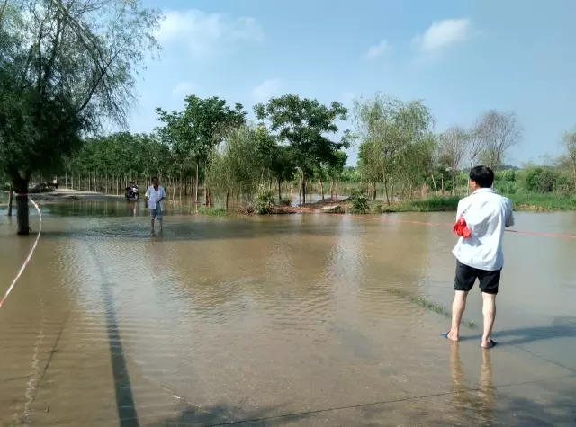 众志成城，鏖战洪灾，市园林科学研究所打响中试基地抗洪救灾保卫战！