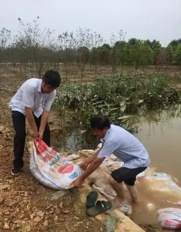 众志成城，鏖战洪灾，市园林科学研究所打响中试基地抗洪救灾保卫战！