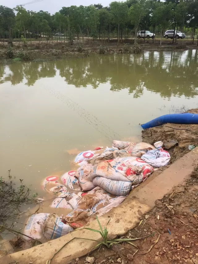 众志成城，鏖战洪灾，市园林科学研究所打响中试基地抗洪救灾保卫战！