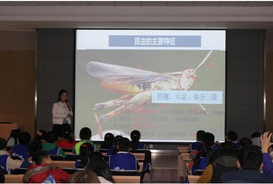 “走进微观世界”系列大课堂之“玻璃瓶里的植物秘密”、“有趣的昆虫嘴巴”       ------记武汉市园林科研所2016市民园林学校第4期活动