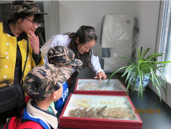 “看标本，认花卉” ――科普公园开展公园大课堂活动