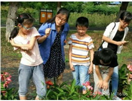“植物导师课”第二季开学啦！