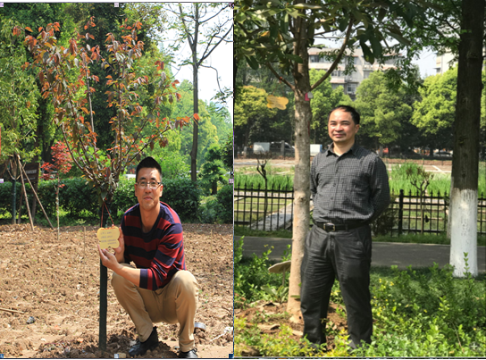 “聚力科研 培育新优” ――市园林科学研究所支部主题党日活动