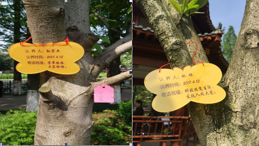 “聚力科研 培育新优” ――市园林科学研究所支部主题党日活动