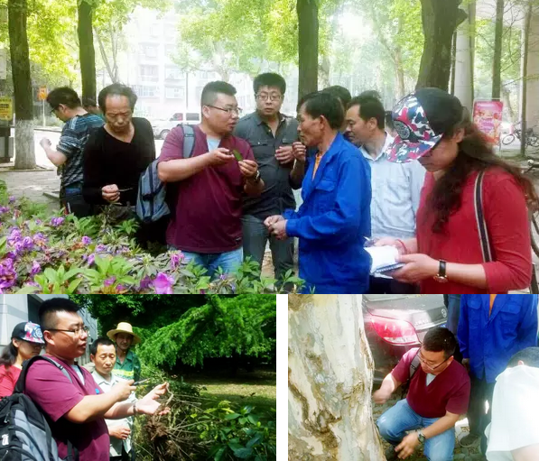 我所董立坤同志荣获武汉市“五一”劳动奖章称号