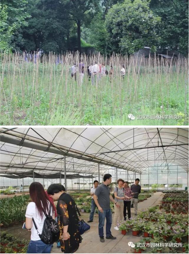 河北省沧州市园林绿化局考察团来我所参观学习