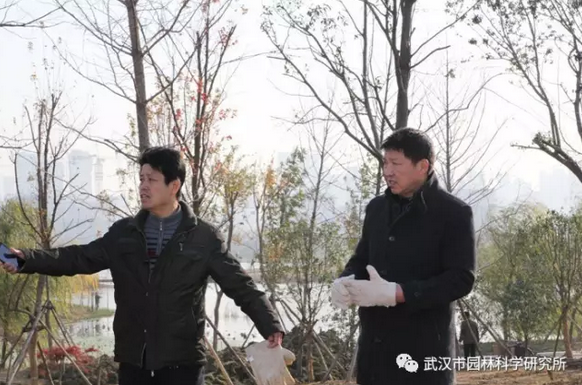 那些时光  不会消散