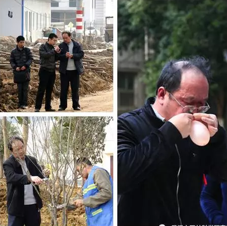 那些时光  不会消散