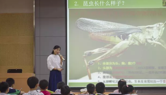 昆虫的世界你懂吗？