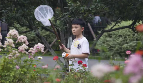 昆虫的世界你懂吗？