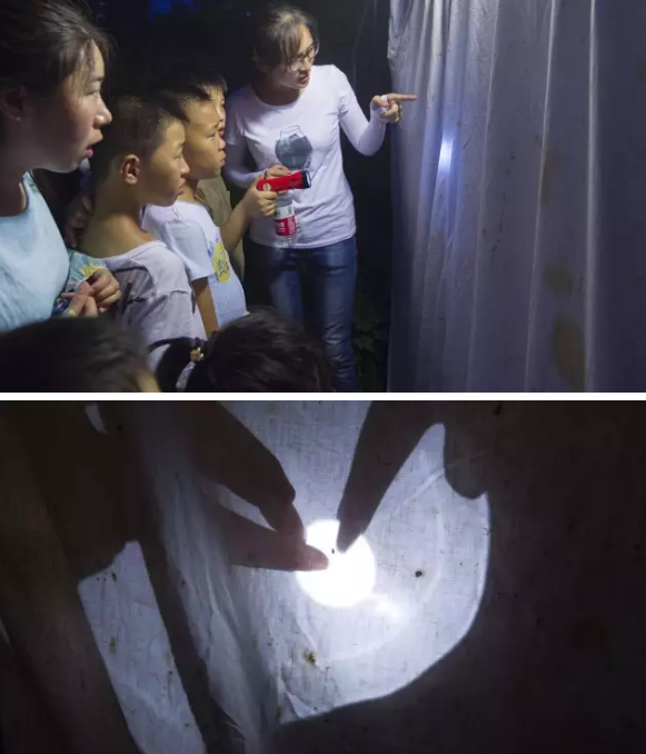 昆虫的世界你懂吗？