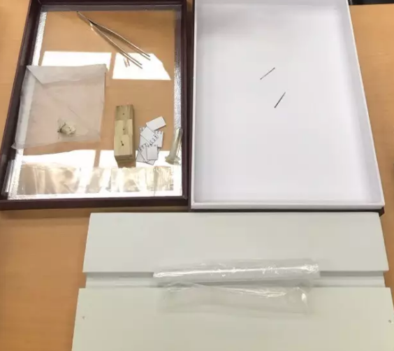 昆虫的世界你懂吗？