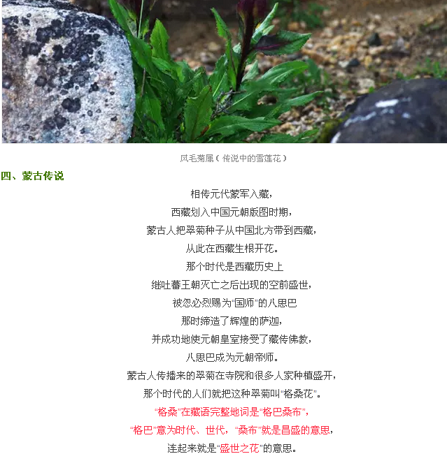 格桑花到底应该是什么样的植物？