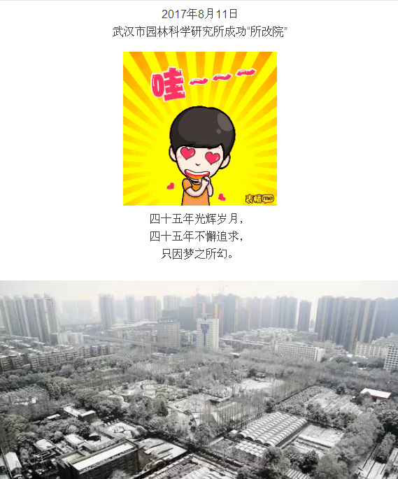 见证 参与 铭记 骄傲