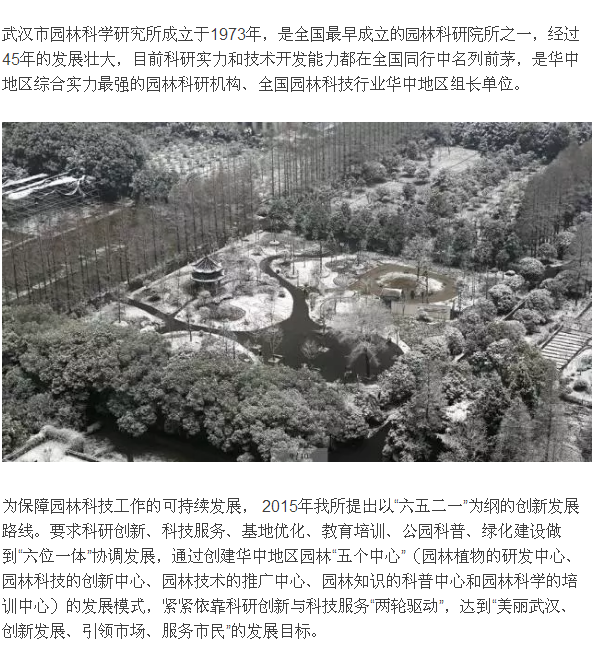 见证 参与 铭记 骄傲