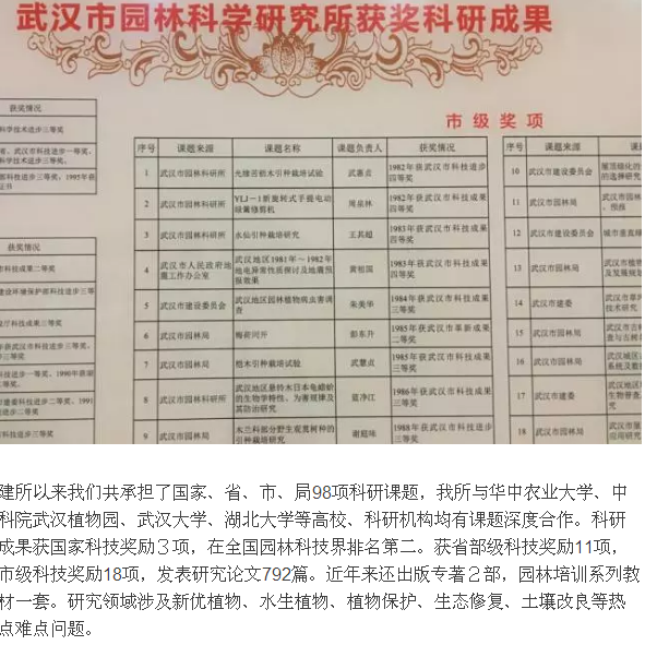 见证 参与 铭记 骄傲