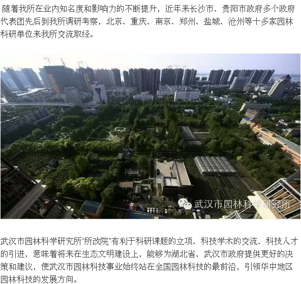 见证 参与 铭记 骄傲