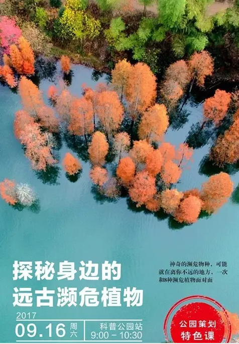 武汉这个公园偏藏奇花异草，周末带你探访这群植物界的远古来客！