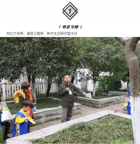 武汉这个公园偏藏奇花异草，周末带你探访这群植物界的远古来客！