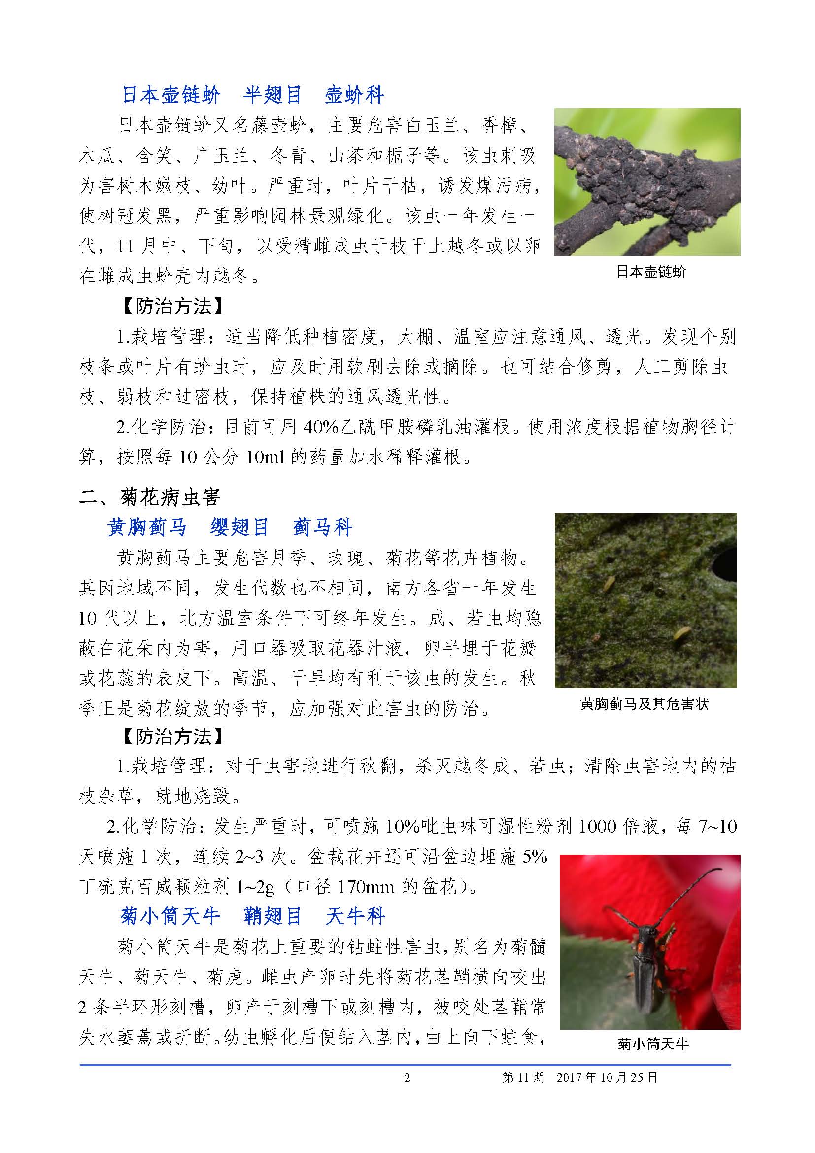 植保信息