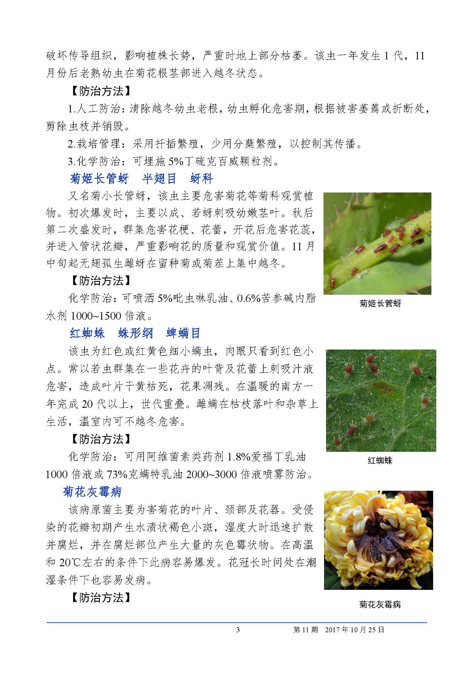 植保信息