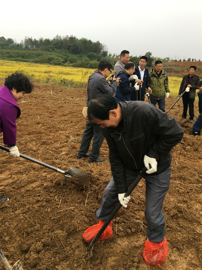 “精准扶贫，你我同行”武汉市园林科学研究院在行动