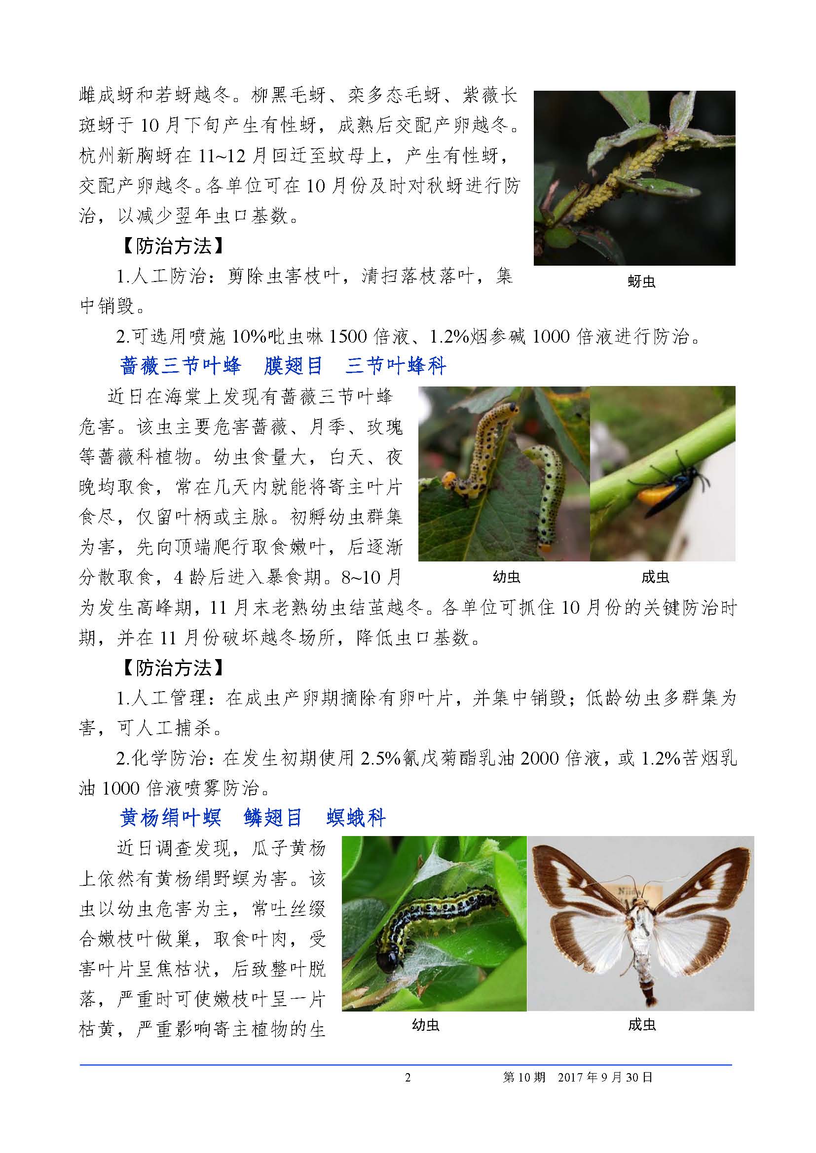 植保信息2017第10期