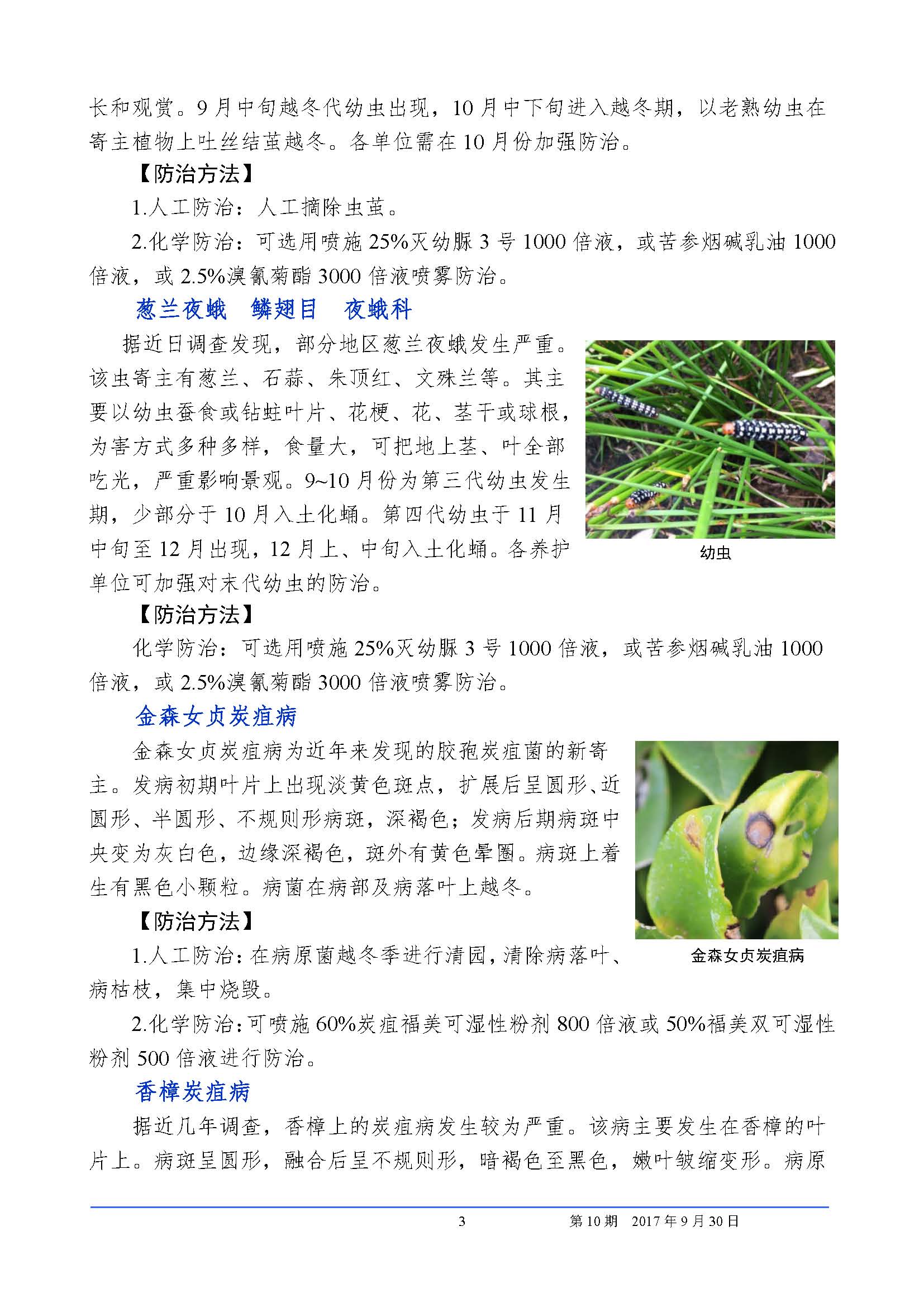 植保信息2017第10期