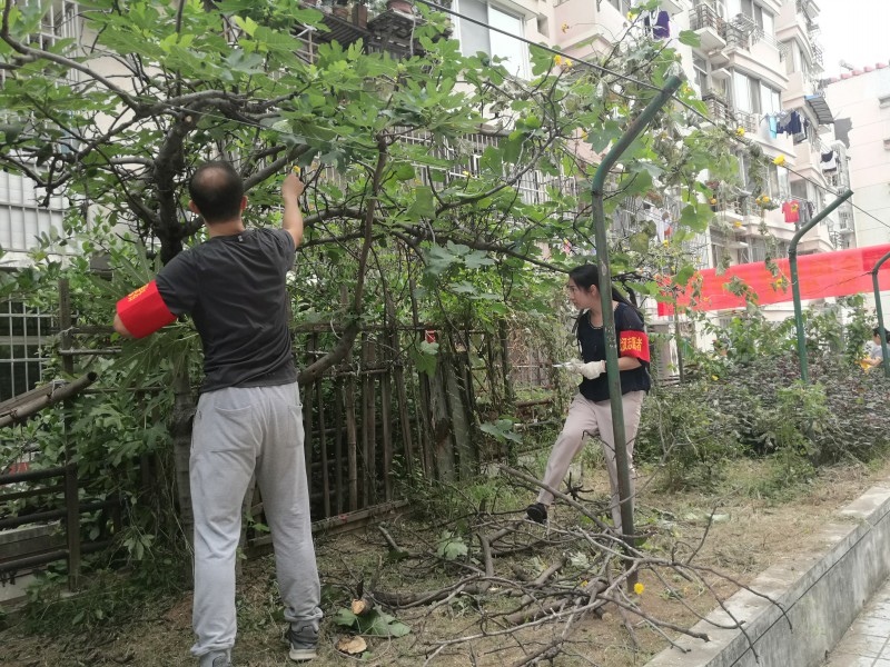 全国科普日园林科研院在行动