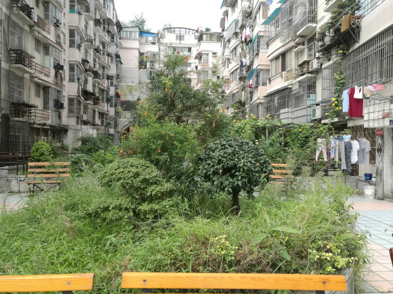 全国科普日园林科研院在行动