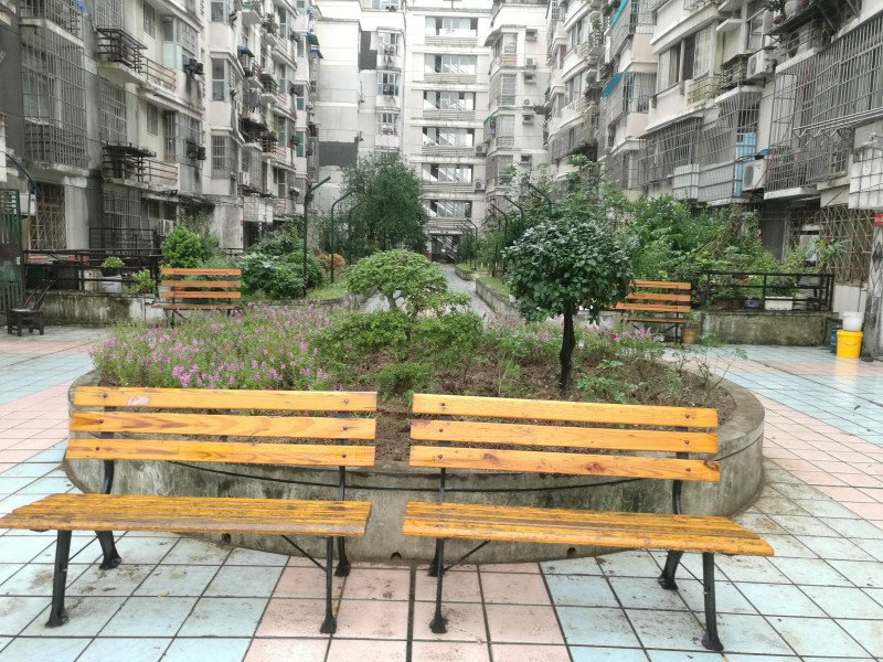 全国科普日园林科研院在行动