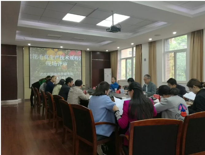 突破！武汉市园林科学研究院两项市级地方标准通过专家评审