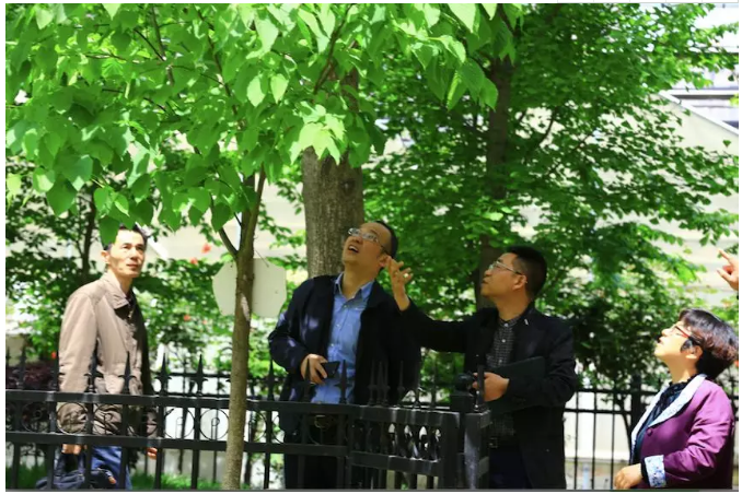 周耕局长调研武汉市园林科学研究院