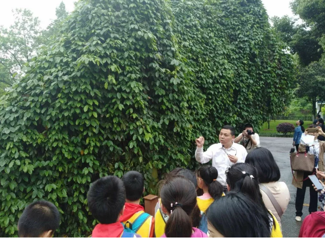 “百万市民科普游”走进武汉市园林科普公园