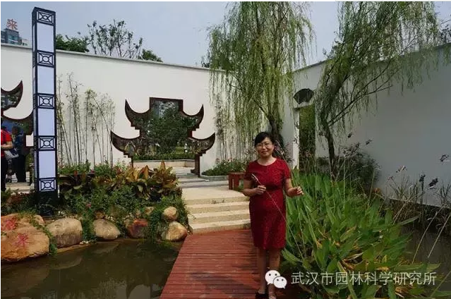 世界花园里又添新品种,它就是来自武汉的“银色鹿角”