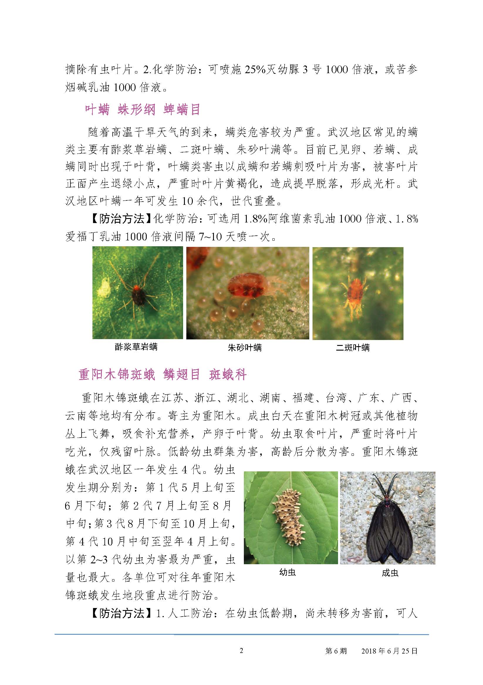 武汉园林病虫害预测预防2018年第六期