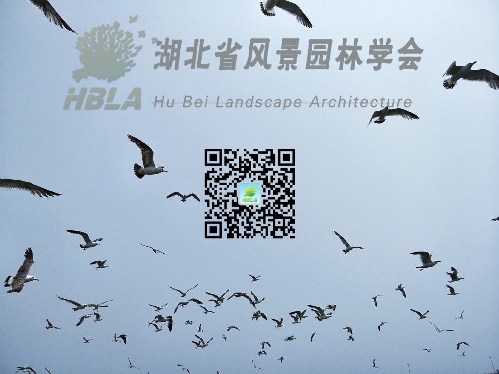 湖北省风景园林学会企业专业委员会会员大会暨2017年度表彰大会