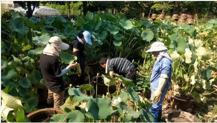 顶烈日！战酷暑！科研工作不停步