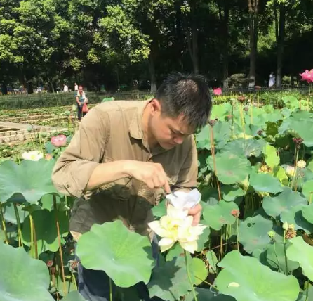 顶烈日！战酷暑！科研工作不停步