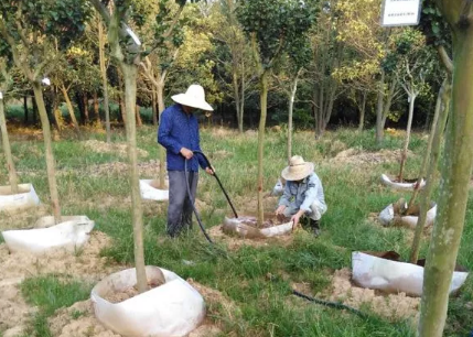 顶烈日！战酷暑！科研工作不停步