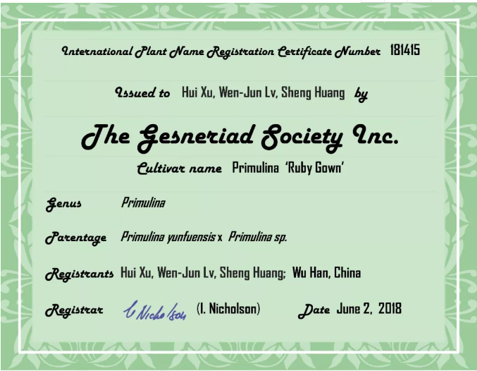 再接再厉！武汉市园林科学研究院新增两种苦苣苔科植物国际品种登录成功