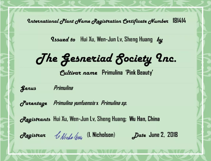 再接再厉!武汉市园林科学研究院新增两种苦苣苔科植物国际品种登录成功