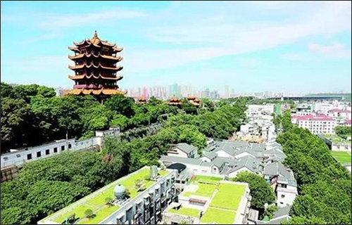武昌：年底前可完成22个老旧社区绿化提升