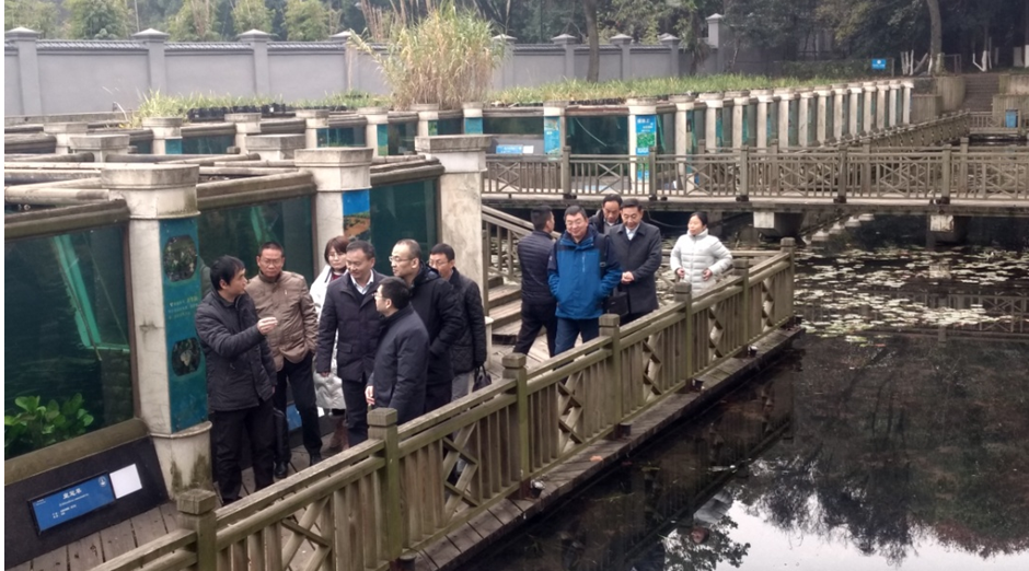 武汉园林和林业局领导考察调研中科院武汉植物园